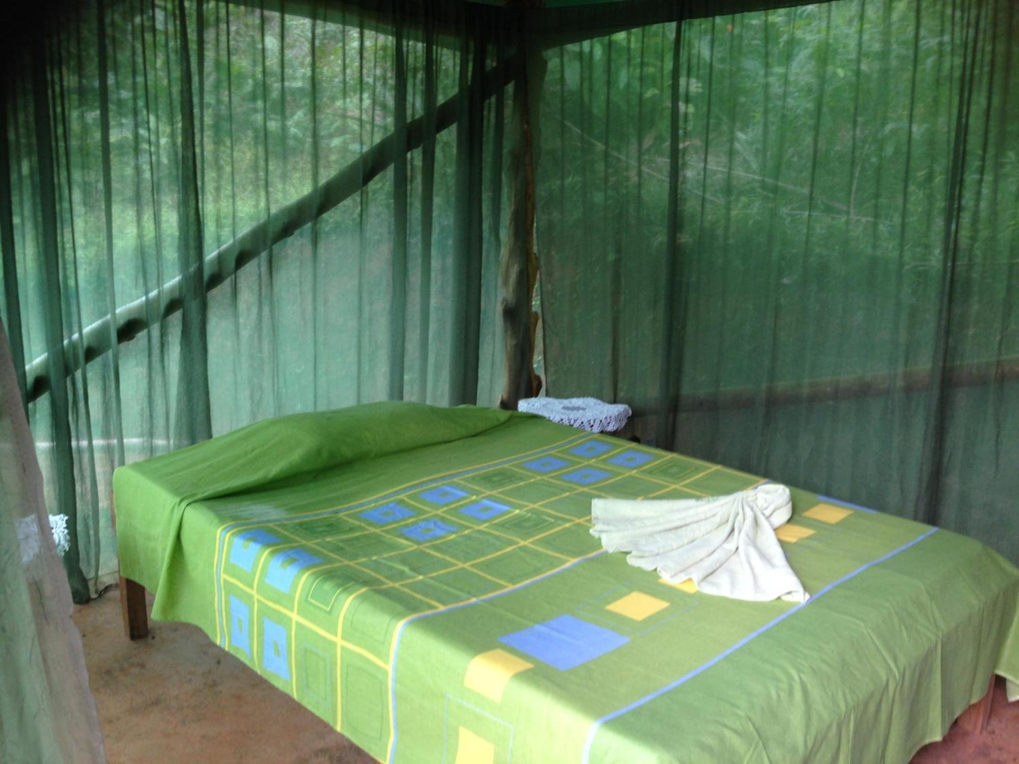Isla Violin Eco-Lodge Drakes Bay Chambre photo